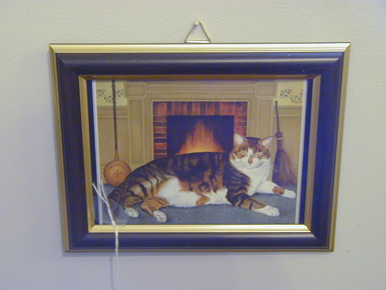 Cat Fireplace Picture